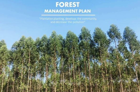  SFT 's Forest Management Plan 2023-38 2023 