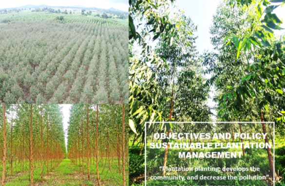  OBJECTIVES AND POLICY SUSTAINABLE PLANTATION MANAGEMENT IN COMPLIANCE WITH FSC PRINCIPLES AND CRITERIA ECONOMIC ASPECT 