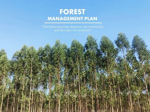 SFT 's Forest Management Plan 2023-38 2023